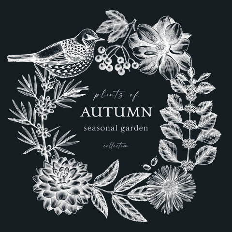 Hand sketched autumn design with birds. Elegant botanical square template with autumn leaves, berries, flowers and birds sketches on chalkboard. Perfect for invitation, cards, flyers, menu, labels.
